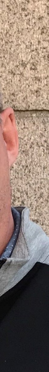 Bjarne Beskåret Bjarne Beskåret